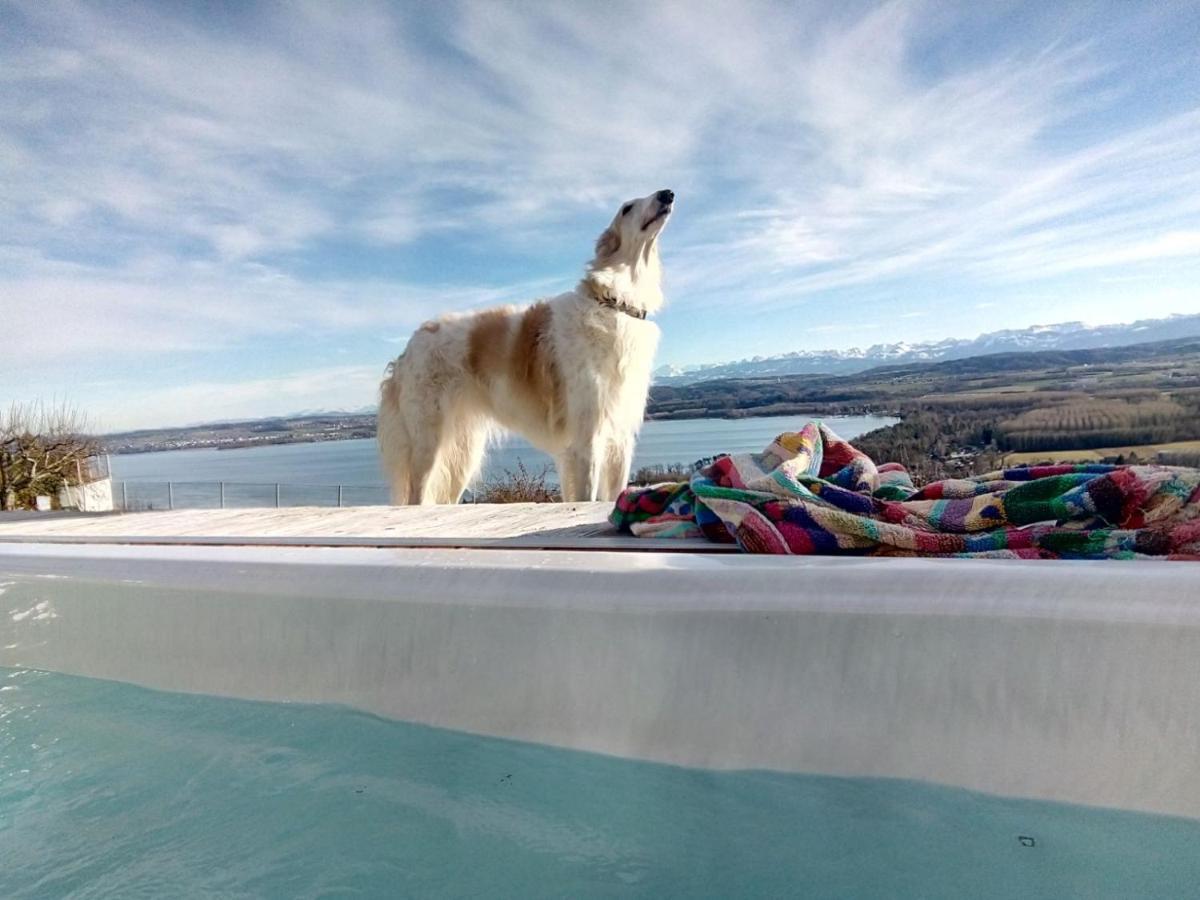 Swiss Borzoi House Vully-les-Lacs Exterior foto