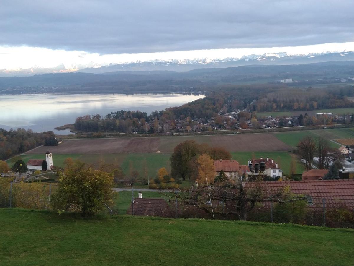 Swiss Borzoi House Vully-les-Lacs Exterior foto