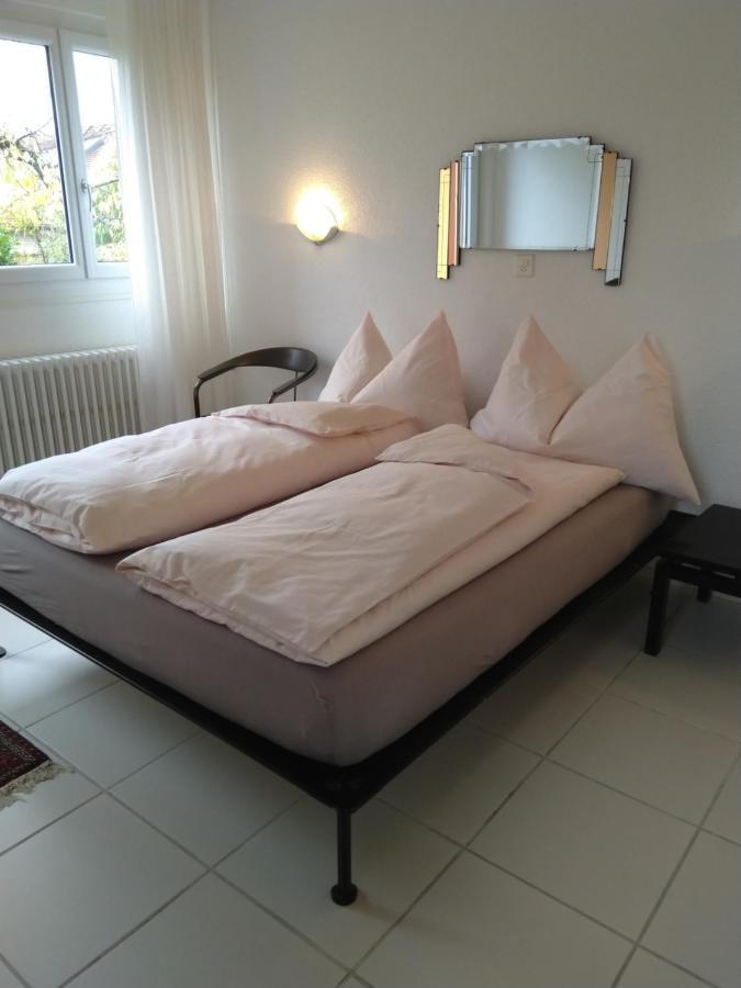 Swiss Borzoi House Vully-les-Lacs Exterior foto