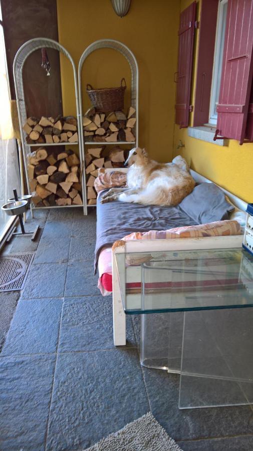 Swiss Borzoi House Vully-les-Lacs Exterior foto