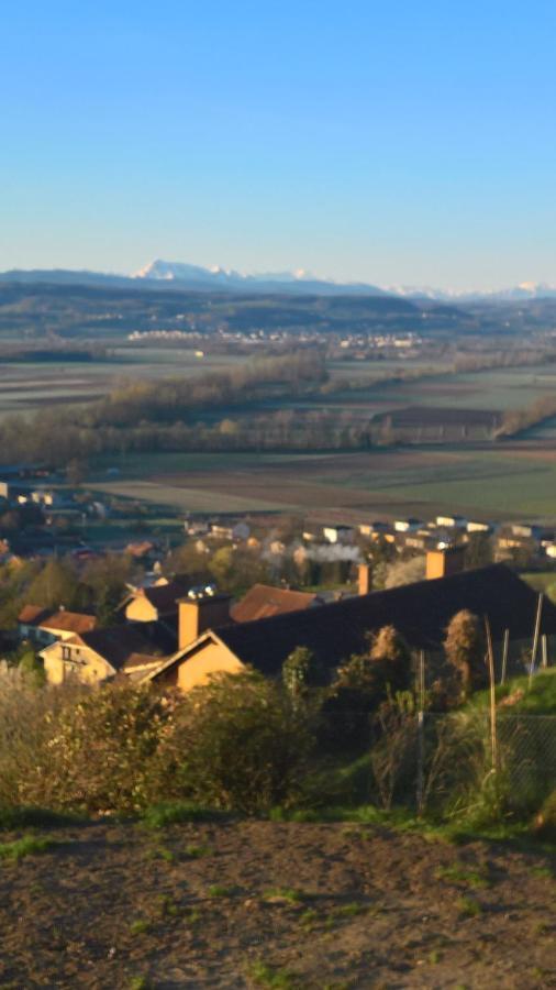 Swiss Borzoi House Vully-les-Lacs Exterior foto