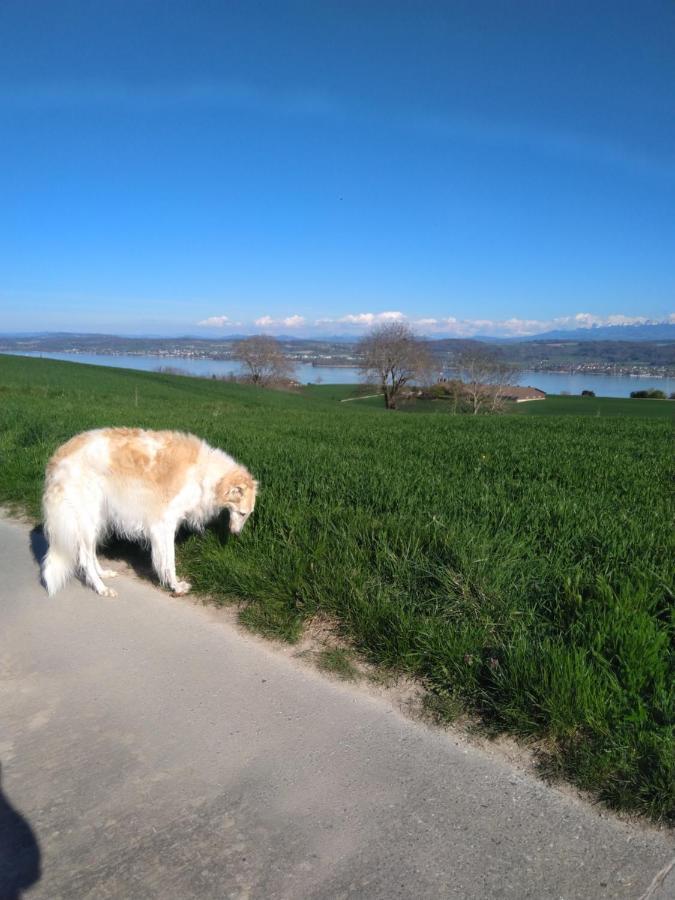 Swiss Borzoi House Vully-les-Lacs Exterior foto