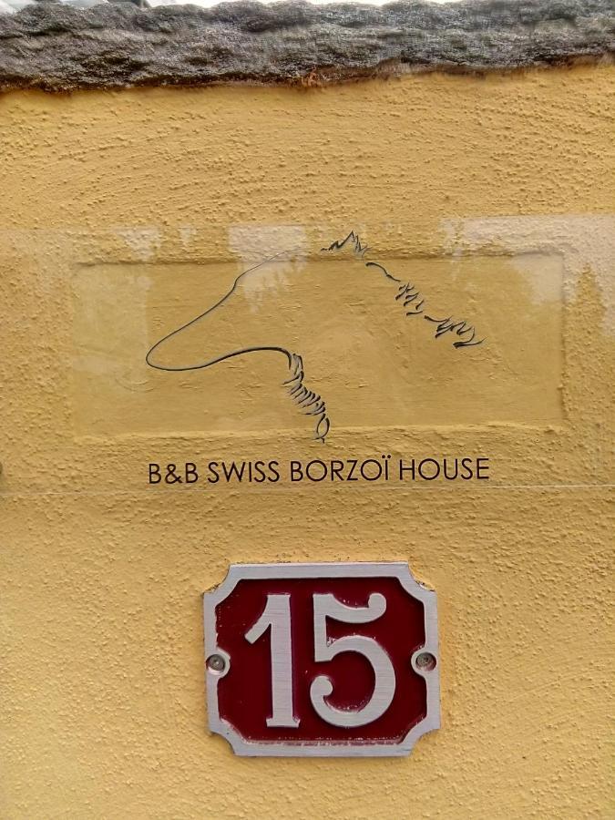 Swiss Borzoi House Vully-les-Lacs Exterior foto