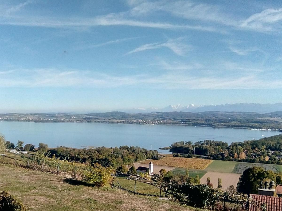 Swiss Borzoi House Vully-les-Lacs Exterior foto