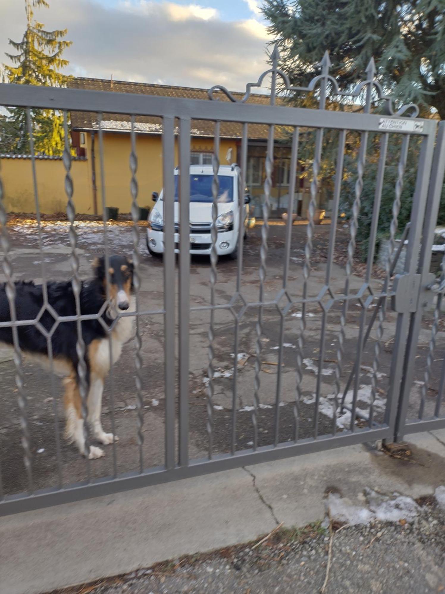 Swiss Borzoi House Vully-les-Lacs Exterior foto