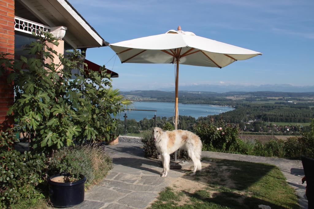 Swiss Borzoi House Vully-les-Lacs Quarto foto