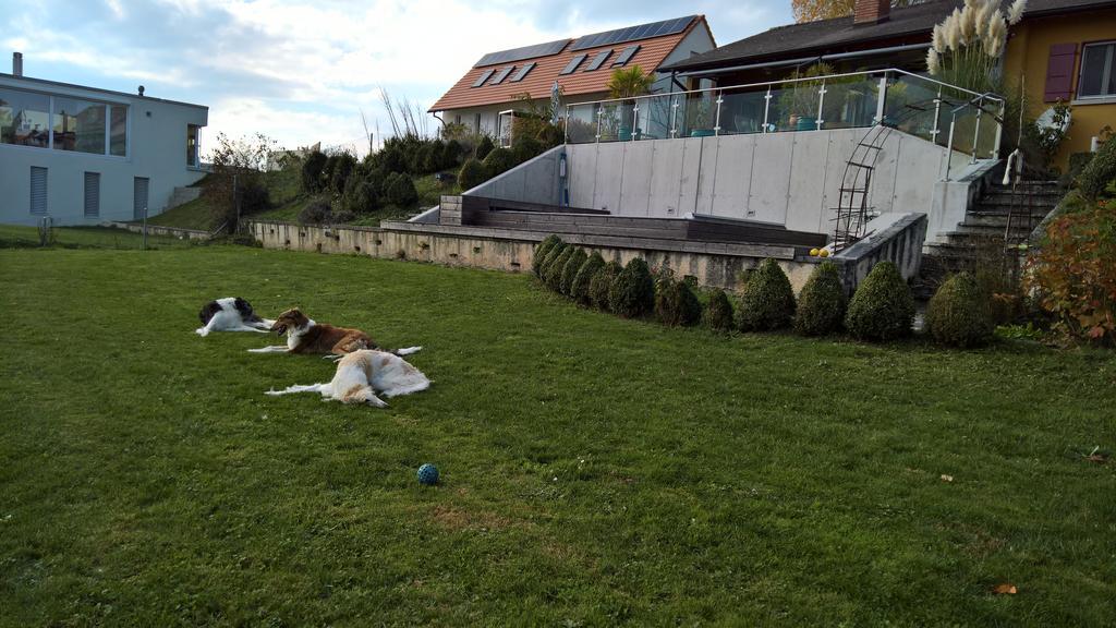 Swiss Borzoi House Vully-les-Lacs Exterior foto