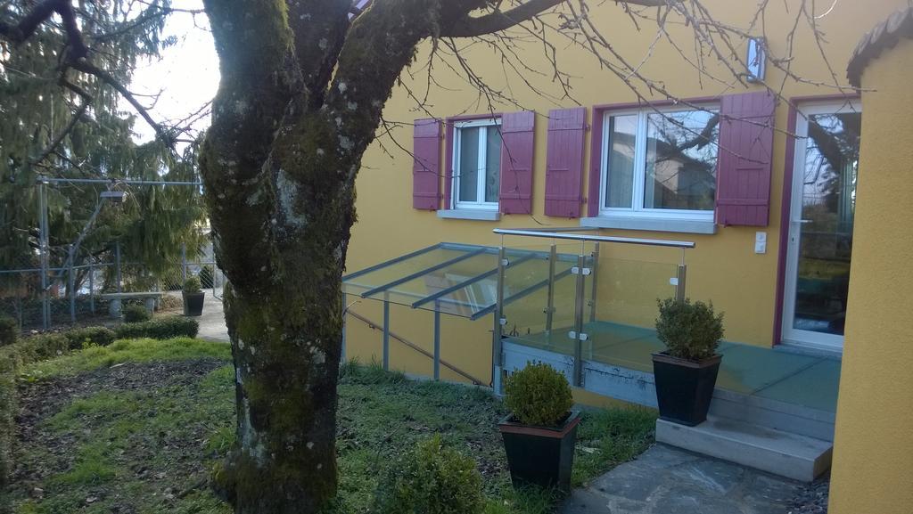 Swiss Borzoi House Vully-les-Lacs Exterior foto