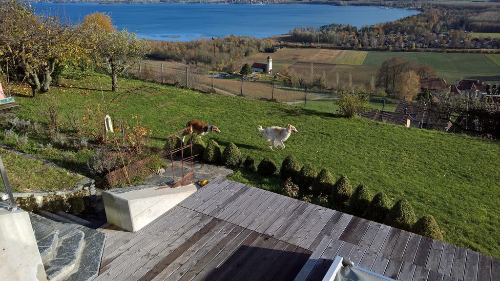 Swiss Borzoi House Vully-les-Lacs Exterior foto