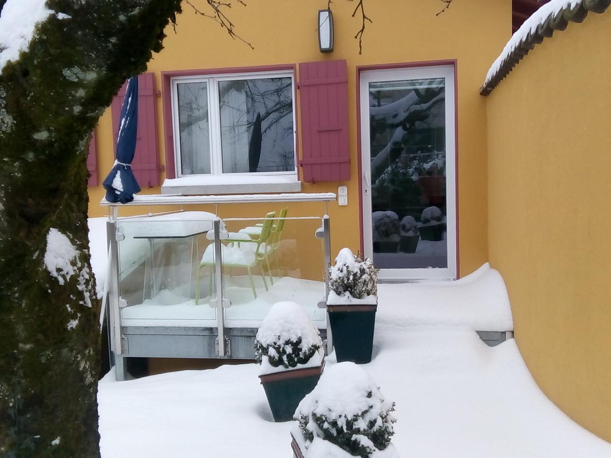 Swiss Borzoi House Vully-les-Lacs Exterior foto