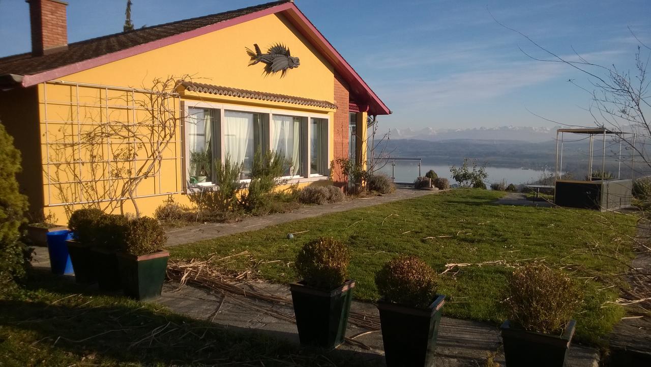 Swiss Borzoi House Vully-les-Lacs Exterior foto