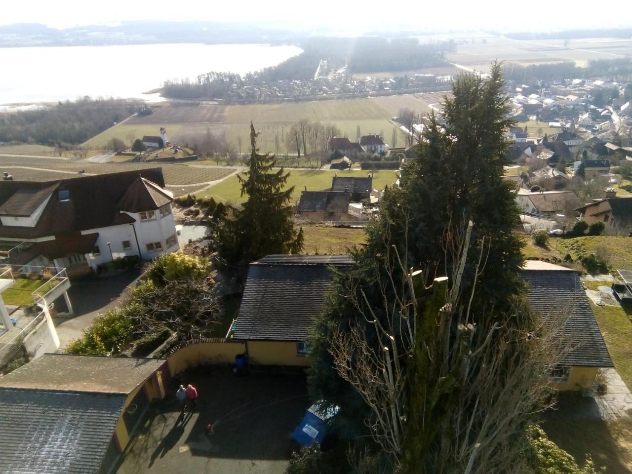 Swiss Borzoi House Vully-les-Lacs Exterior foto