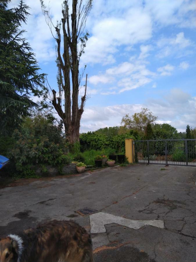 Swiss Borzoi House Vully-les-Lacs Exterior foto